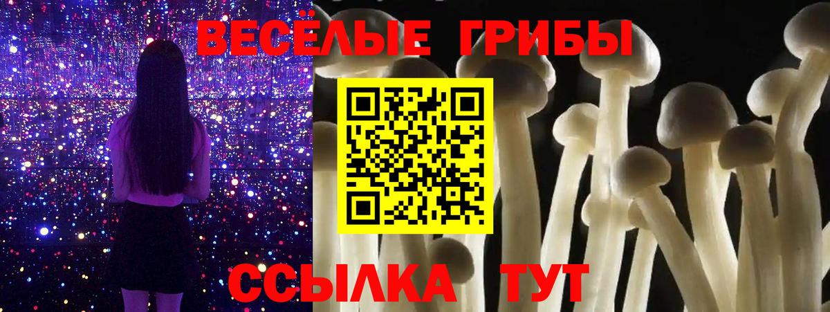 Заводоуковск  Псилоцибиновые грибы Cubensis  наркошоп  Вход с VPN 