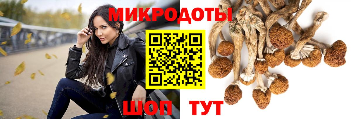 Галлюциногенные грибы ЛСД Заводоуковск